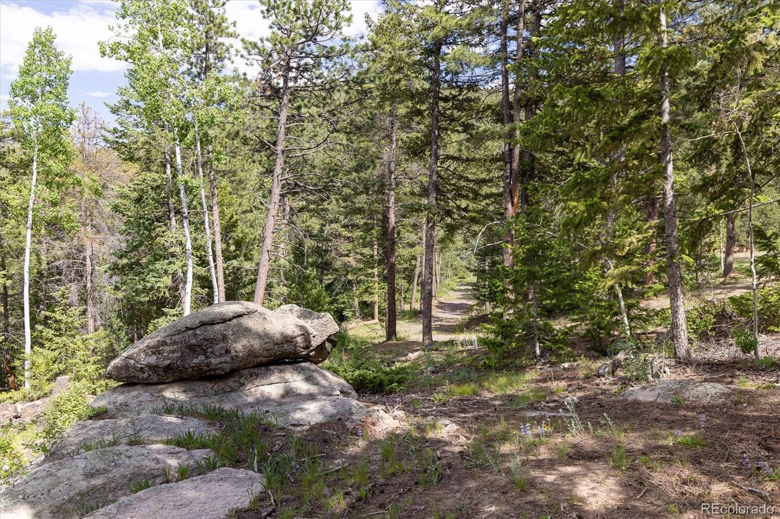31429 Burke Road Golden CO 80403 | MLS #REC9941267 08132026171727 1600 12