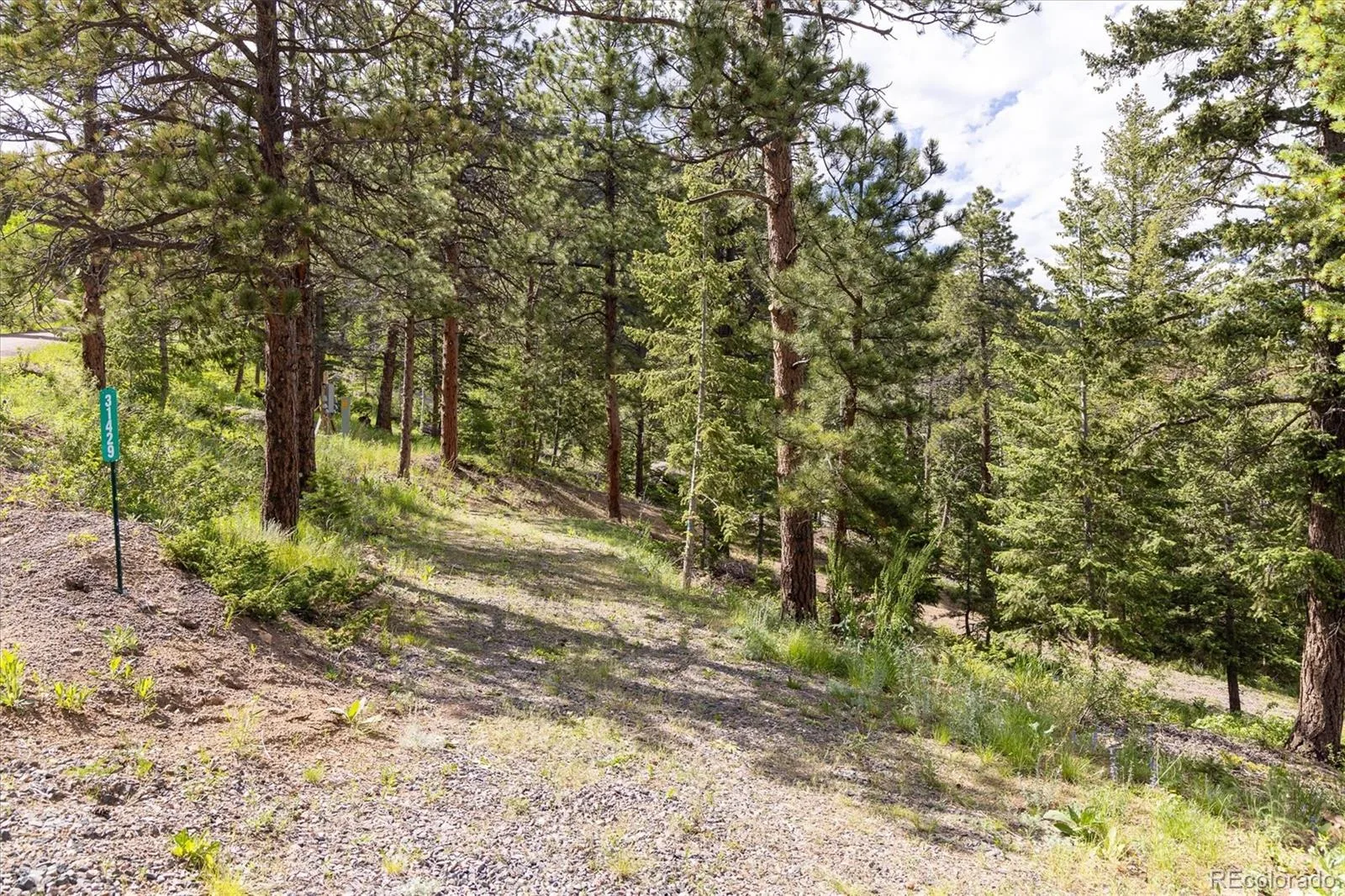 31429 Burke Road Golden CO 80403 | MLS #REC9941267 08132026171727 1600 22