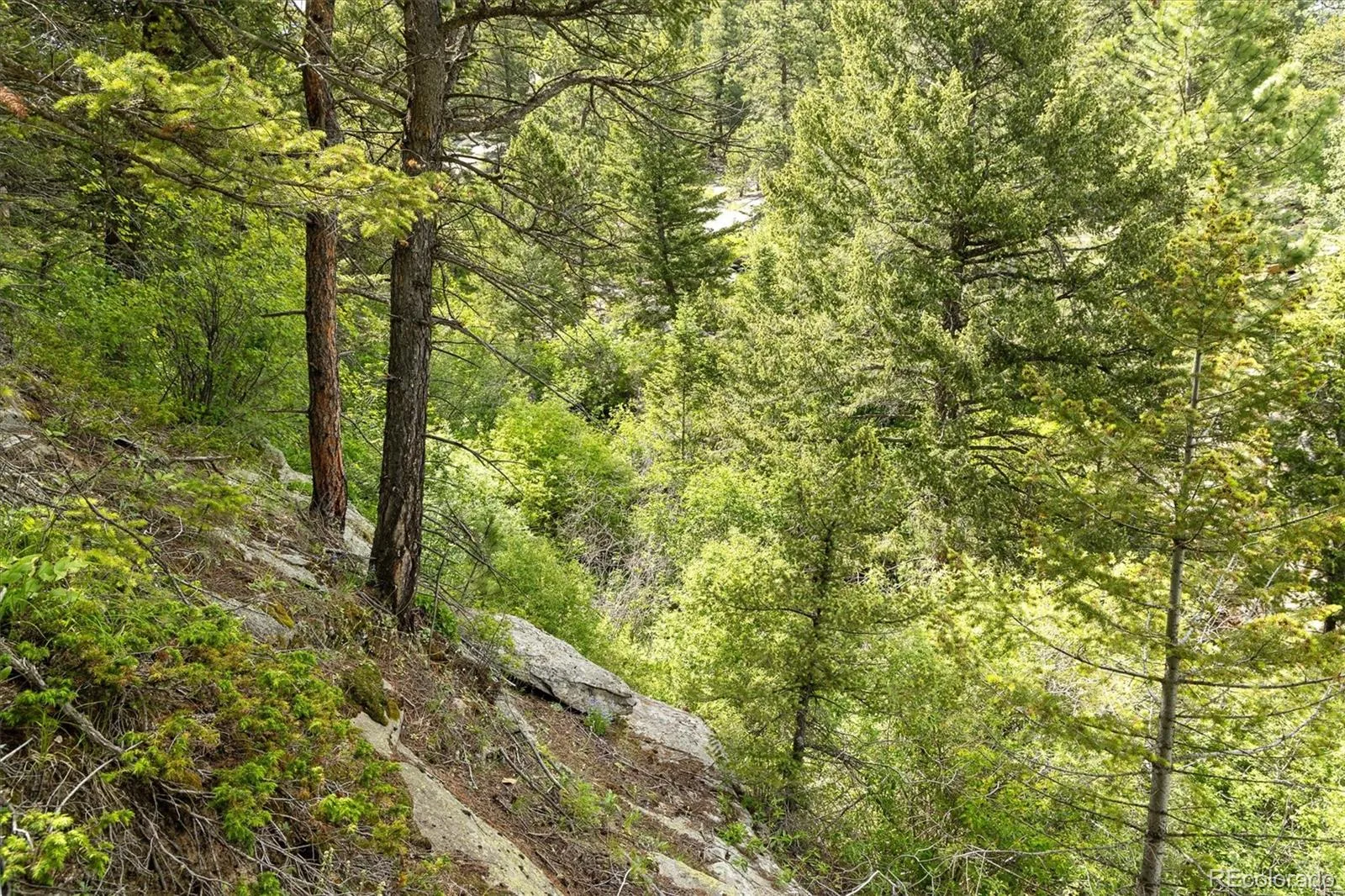 31429 Burke Road Golden CO 80403 | MLS #REC9941267 08132026171727 1600 30