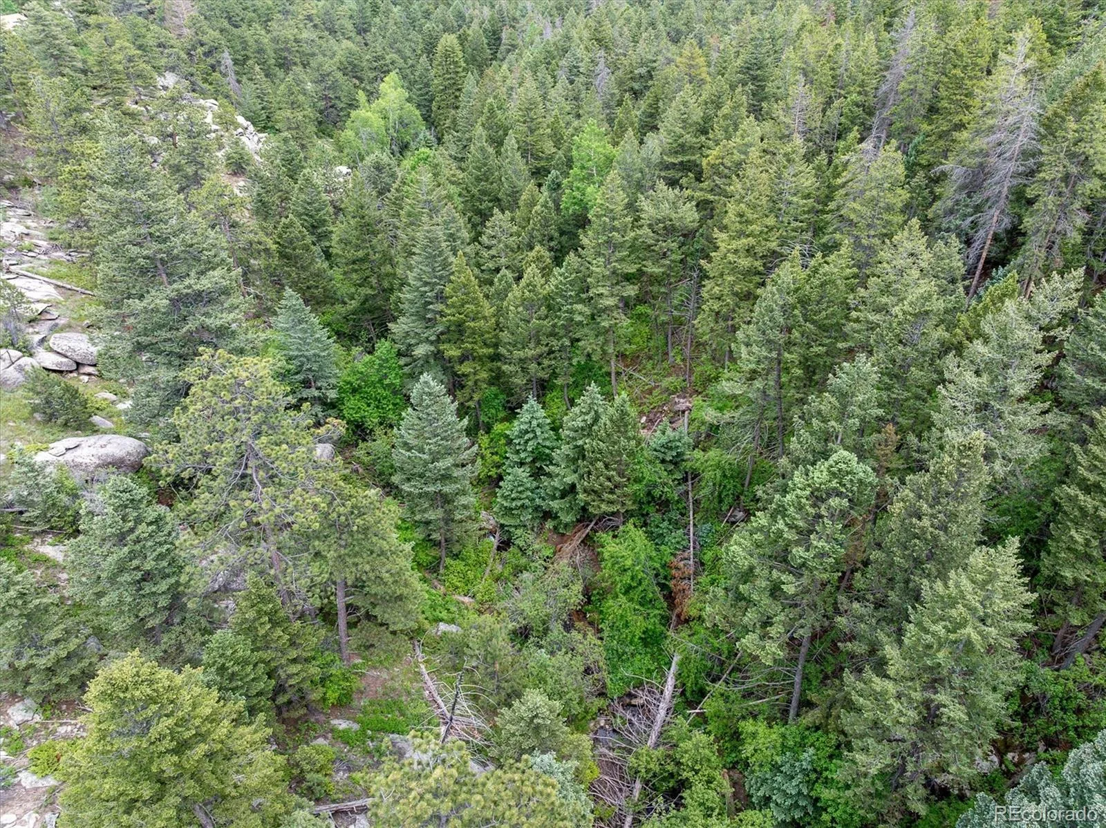 31429 Burke Road Golden CO 80403 | MLS #REC9941267 08132026171727 1600 34