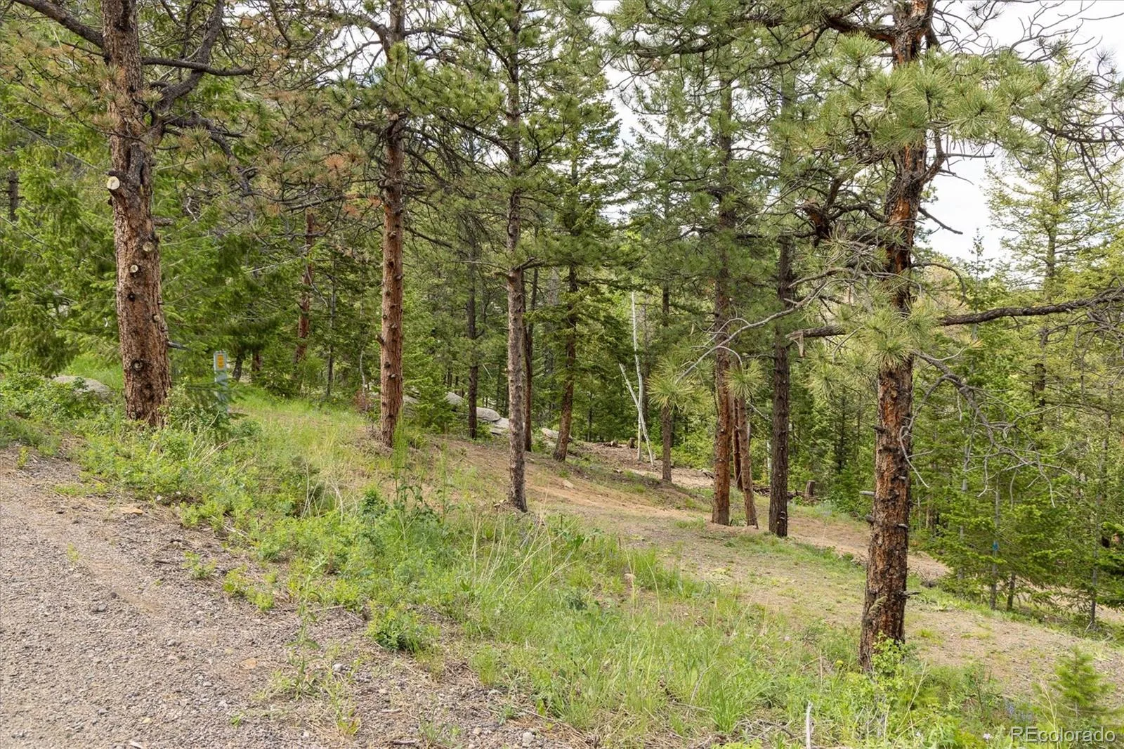 31429 Burke Road Golden CO 80403 | MLS #REC9941267 08132026171727 1600 6