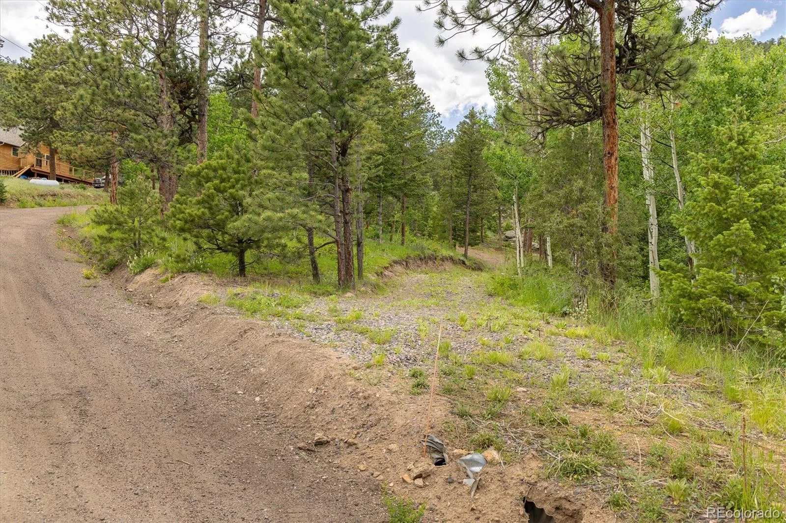 31429 Burke Road Golden CO 80403 | MLS #REC9941267 08132026171727 1600 7