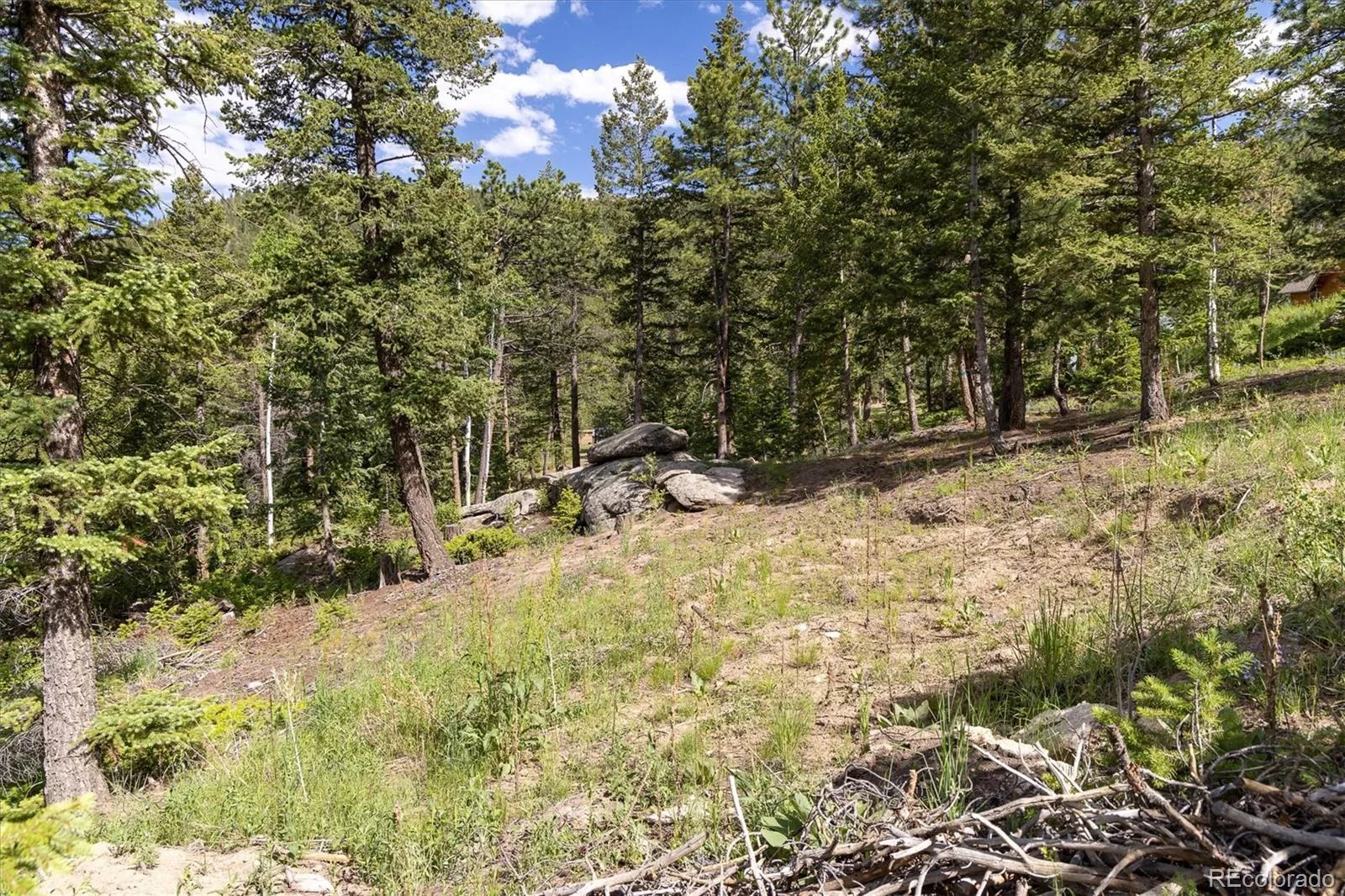 31429 Burke Road Golden CO 80403 | MLS #REC9941267 08132026171727 1600 9