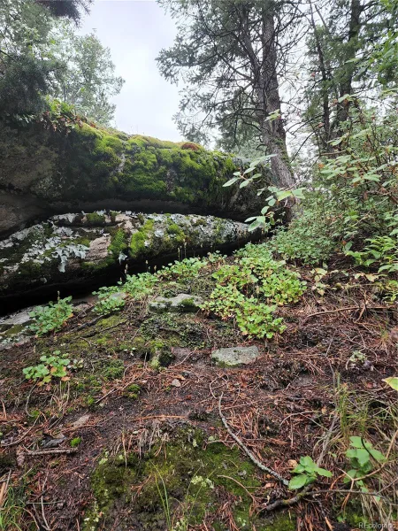 31429 Burke Road Golden CO 80403 | MLS #REC9941267 08132026171727 800 19