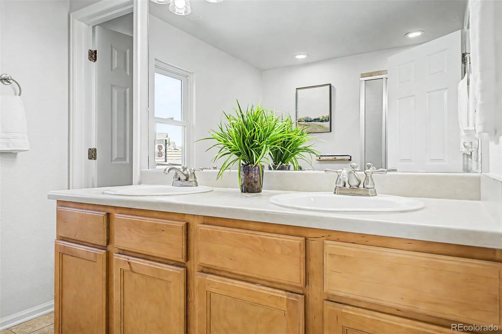 11945 S Black Horn Circle Parker CO 80134 MLS #REC9946179 06222026215125 1600 22