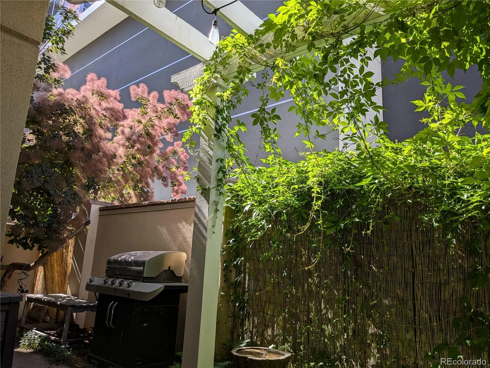 04182026195243 1600 12