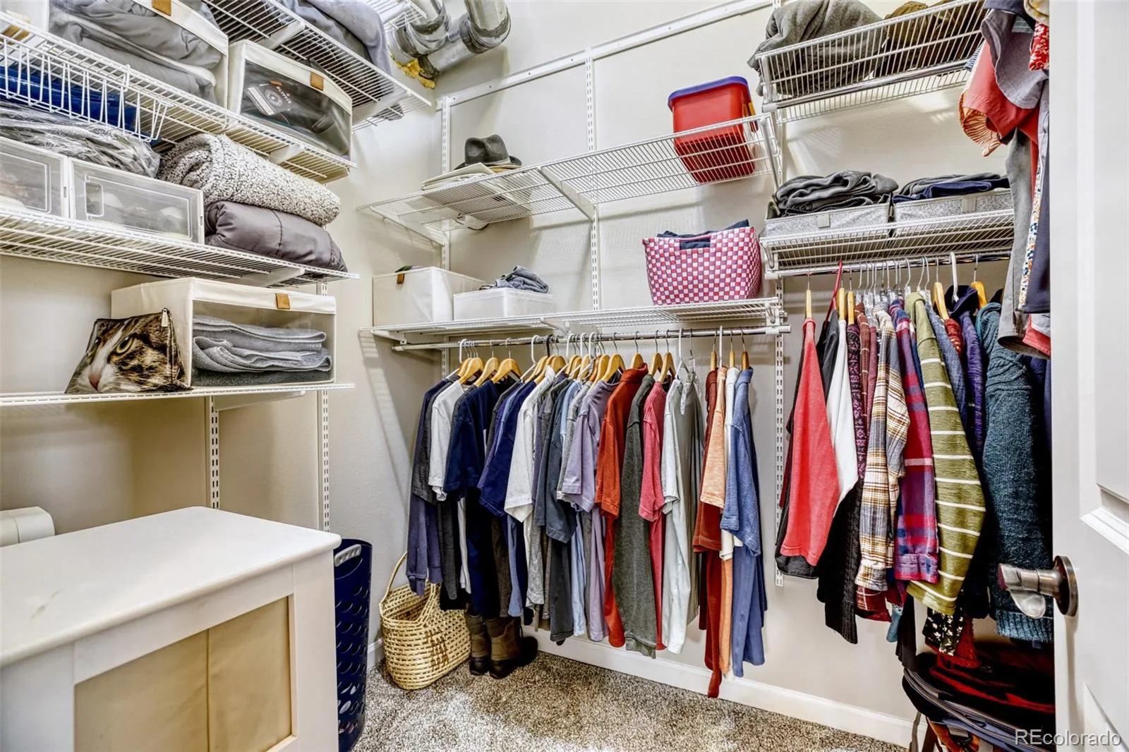 04182026195243 1600 17