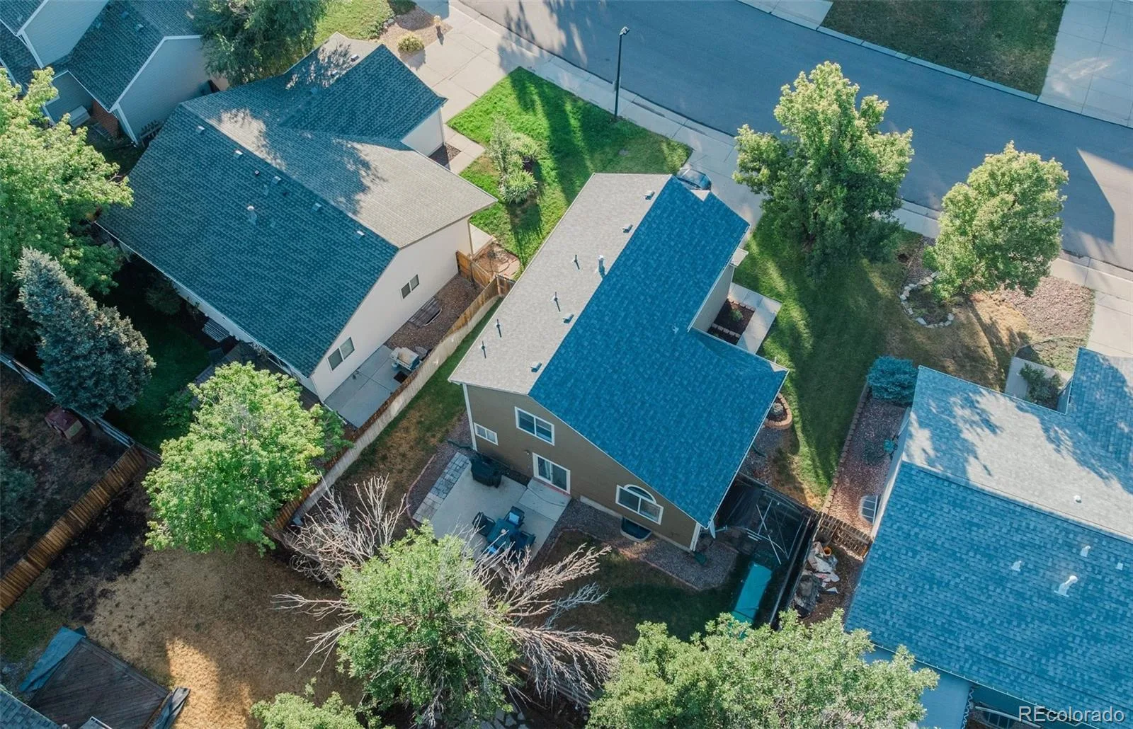5305 E Kensington Avenue Castle Rock CO 80104 | MLS #REC9946905 07302026151808 1600 36