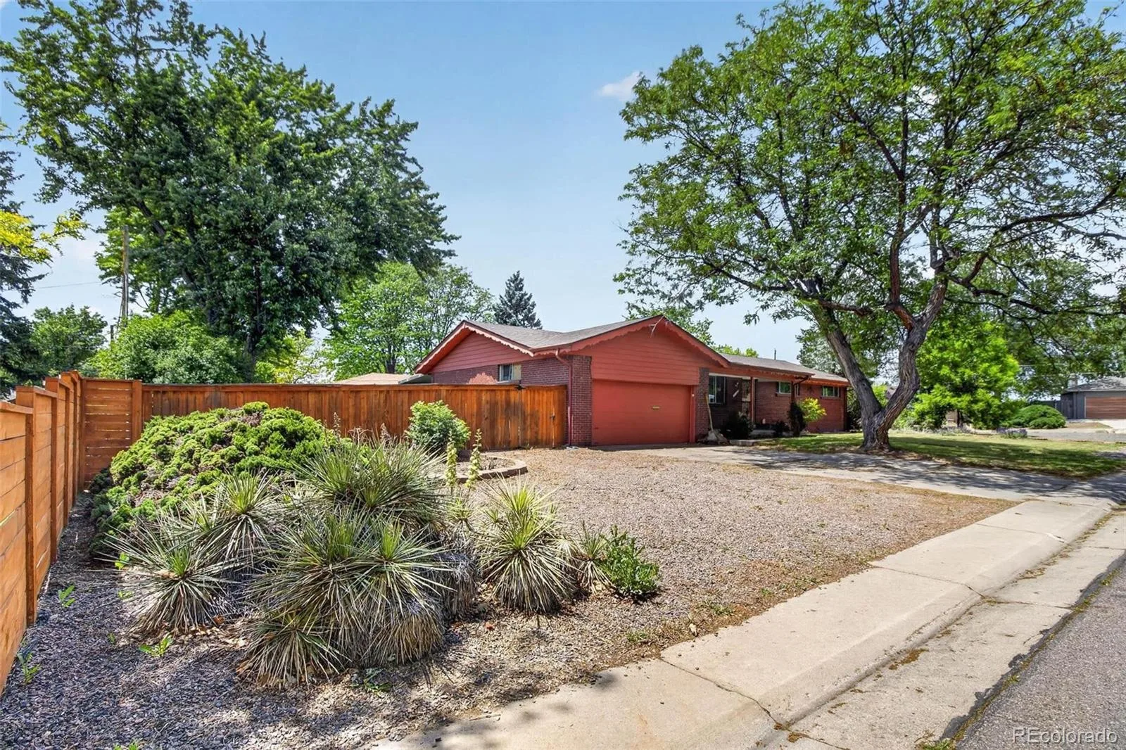 4465 Cody Street Wheat Ridge CO 80033 MLS #REC9947370 06182026173758 1600 3