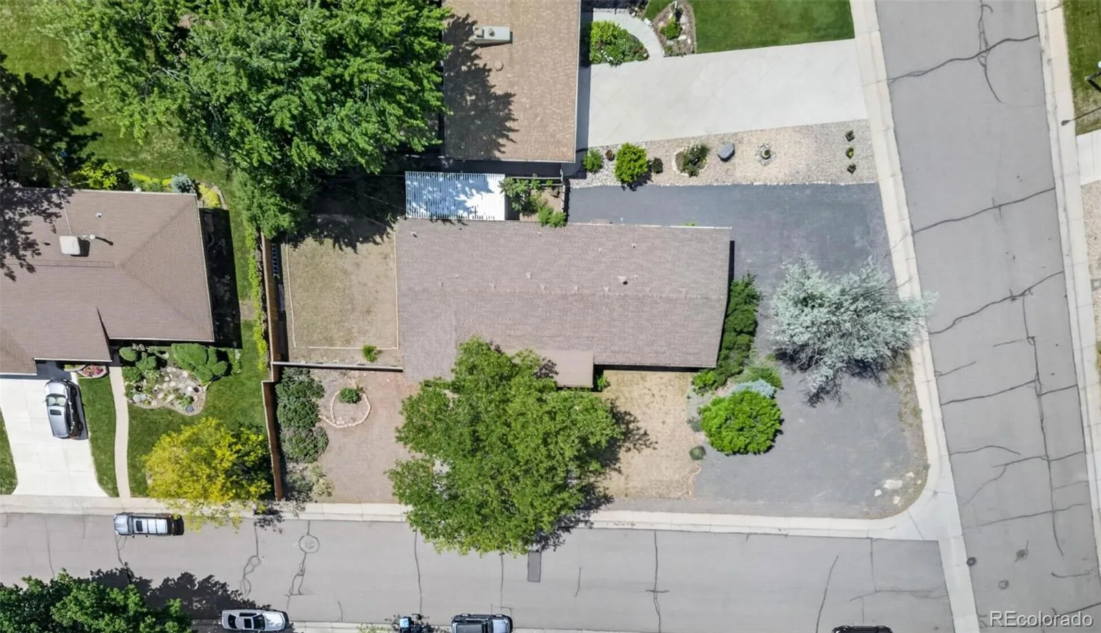 4465 Cody Street Wheat Ridge CO 80033 MLS #REC9947370 06182026173758 1600 30