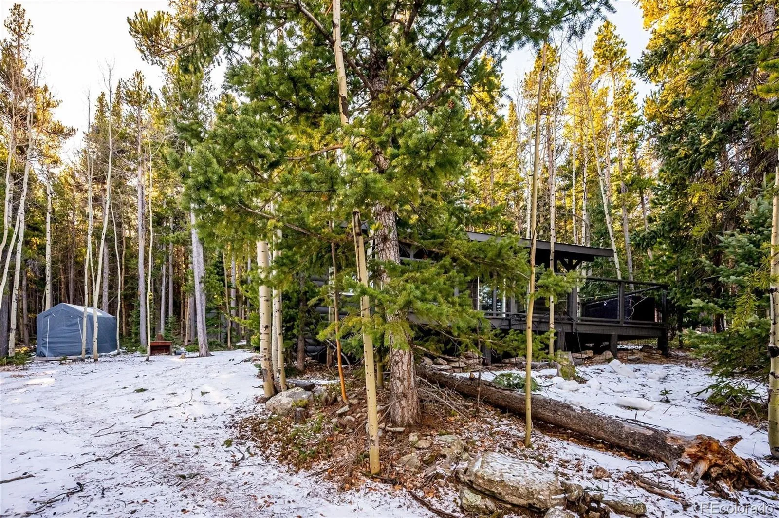 2334 Sinton Road Evergreen CO 80439 | MLS #REC9953813 08242026190751 1600 14