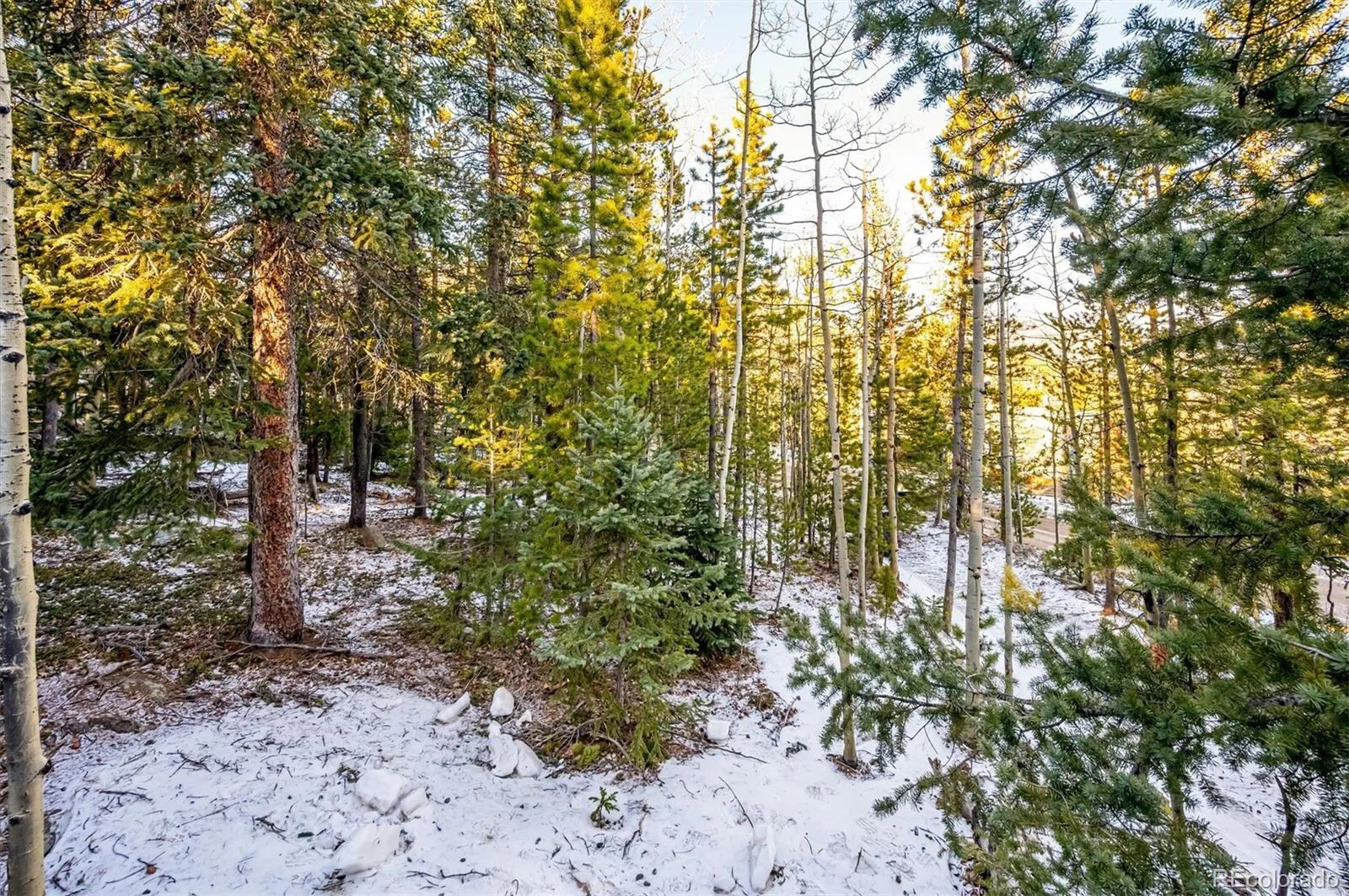 2334 Sinton Road Evergreen CO 80439 | MLS #REC9953813 08242026190751 1600 19