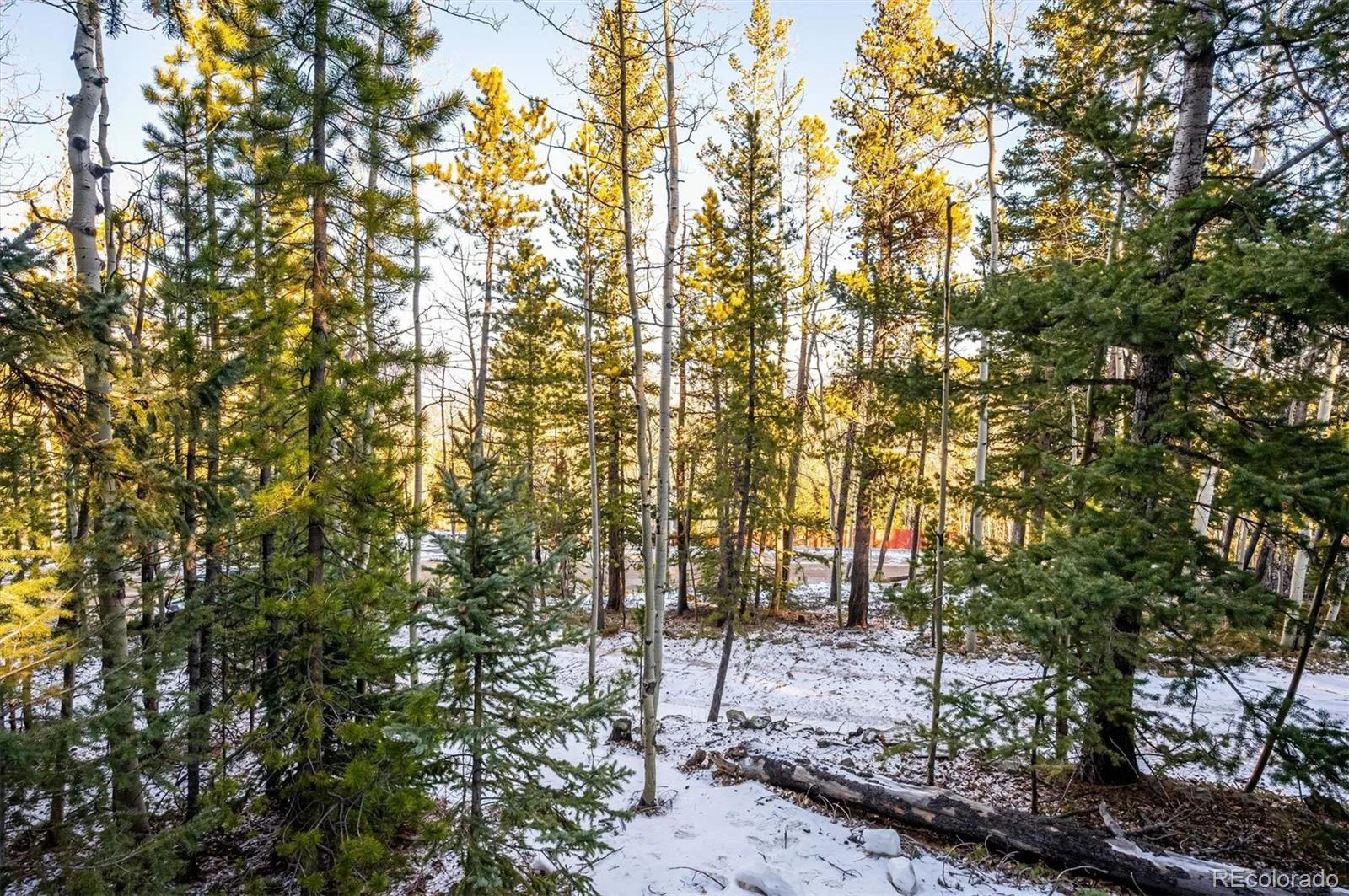 2334 Sinton Road Evergreen CO 80439 | MLS #REC9953813 08242026190751 1600 20