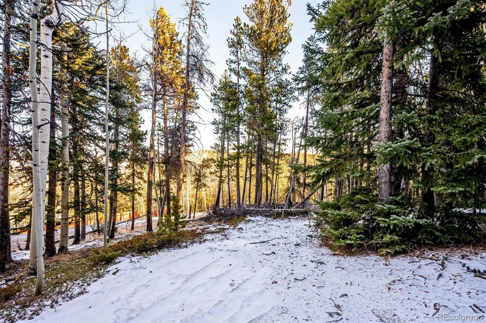 2334 Sinton Road Evergreen CO 80439 | MLS #REC9953813 08242026190751 1600 25