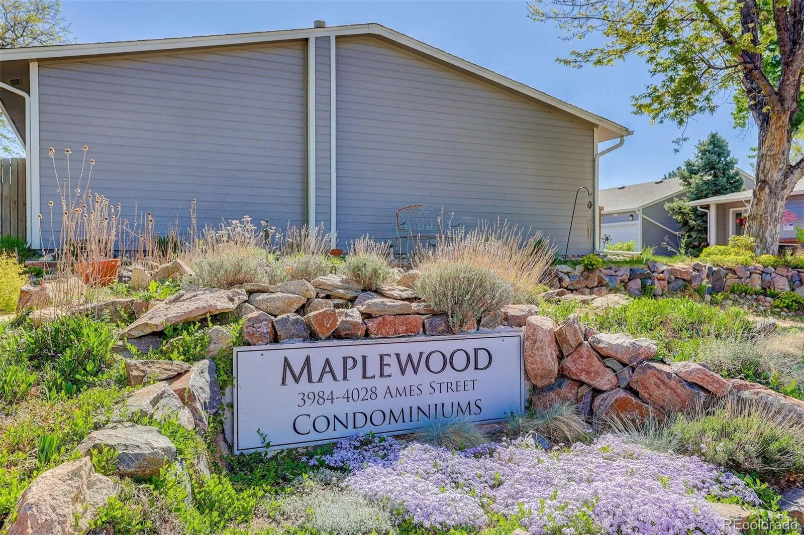 4026 N Ames Street Wheat Ridge CO 80212 MLS #REC9955712 04282026173251 1600 29