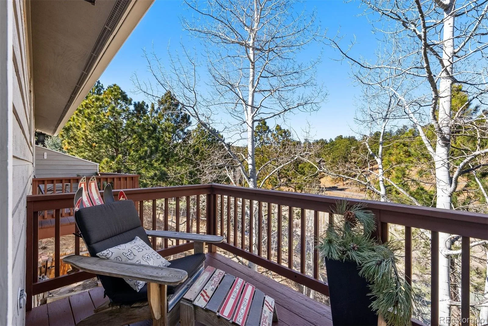 29895 Spruce Road Evergreen CO 80439 | MLS #REC9962088 07022026173933 1600 23