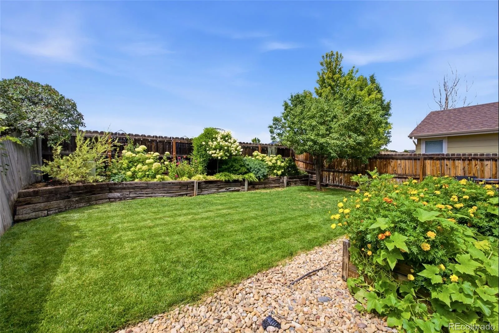 8859 Cloverleaf Circle Parker CO 80134 | MLS #REC9975316 08202026220036 1600 37