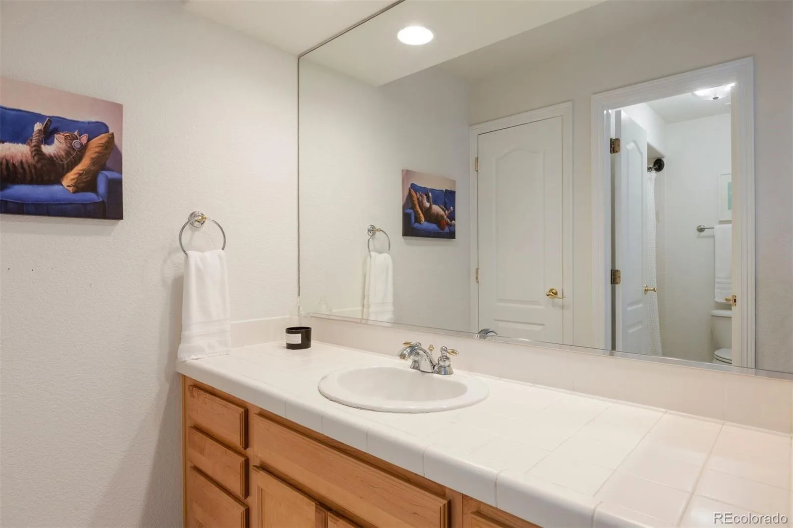 3104 Ramshorn Drive Castle Rock CO 80108 MLS #REC9977601 06082026213533 1600 35