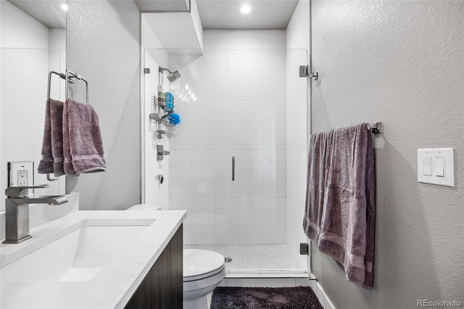 2737 W 24th Avenue #4 Denver CO 80211 | MLS #REC9979906 07152026085435 1600 18