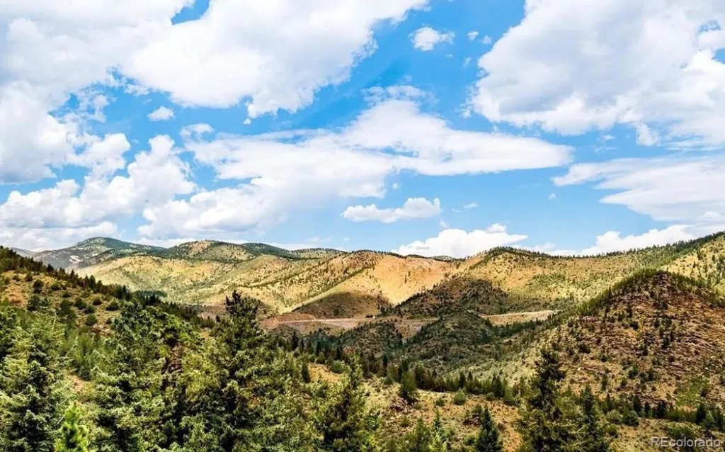 Clear Creek Road Evergreen CO 80439 MLS #REC9989424 05112026161047 1024 3