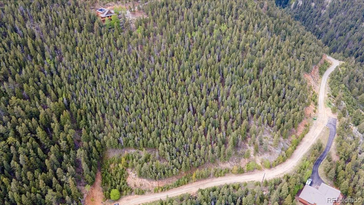 Clear Creek Road Evergreen CO 80439 MLS #REC9989424 05112026161047 1200 18