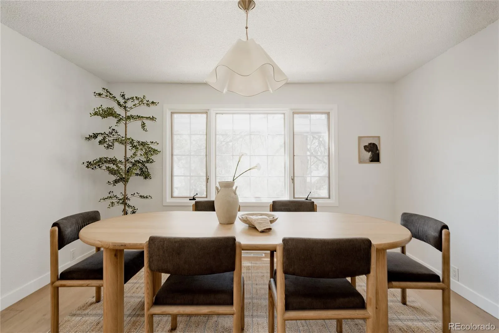 4675 S Yosemite Street #205 Denver CO 80237 | MLS #REC9992143 08132026181846 1600 6