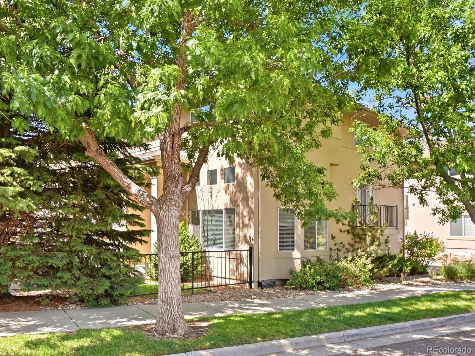 14044 E Temple Drive Aurora CO 80015 MLS #REC9994538 06112026215146 1600 46