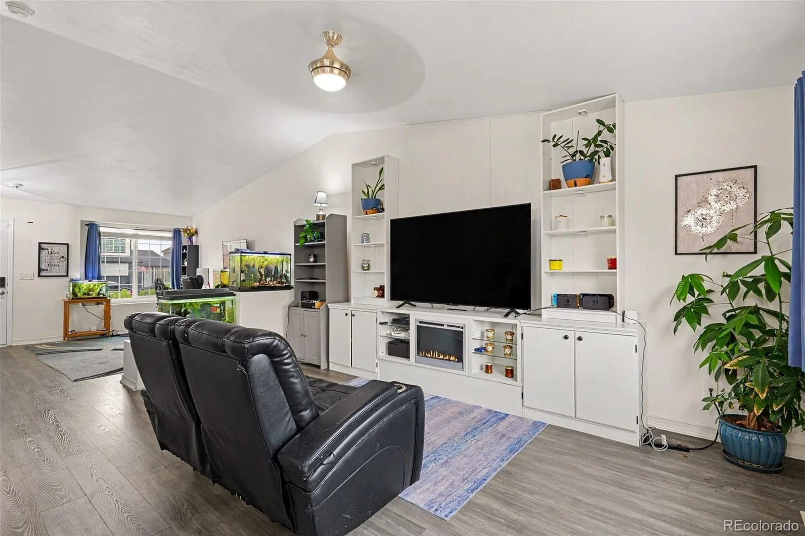 1309 Parsons Avenue Castle Rock CO 80104 | MLS #REC9995647 07152026190513 1600 2