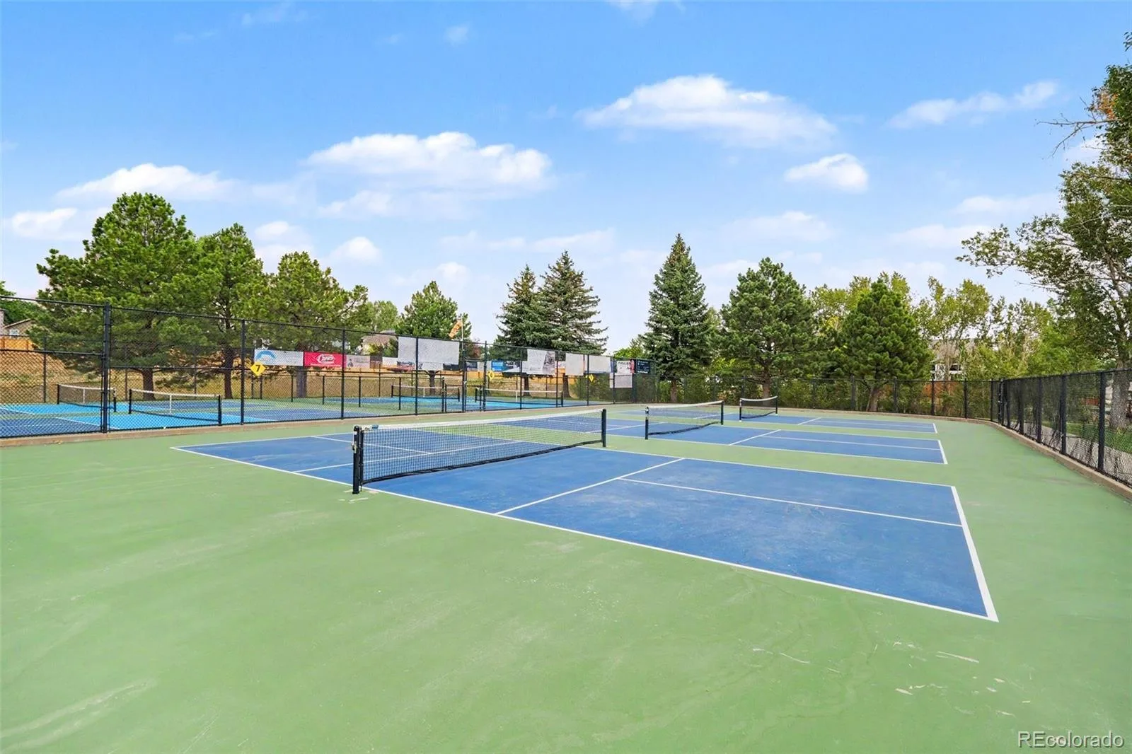 1309 Parsons Avenue Castle Rock CO 80104 | MLS #REC9995647 07152026190513 1600 24