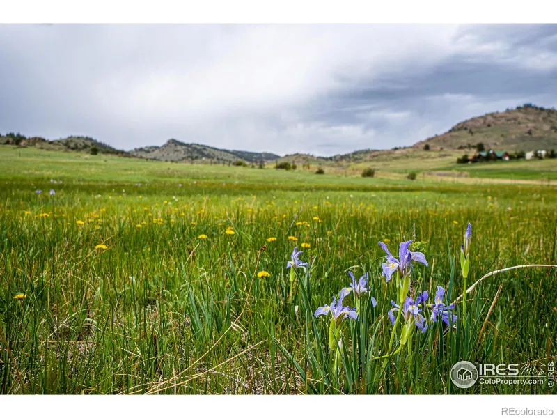 broker reciprocity