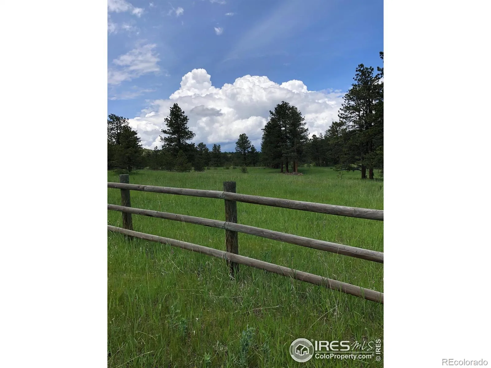 442 Quarter Circle Lane Evergreen CO 80439 | MLS #RECIR1035531 04262026213725 1600 1