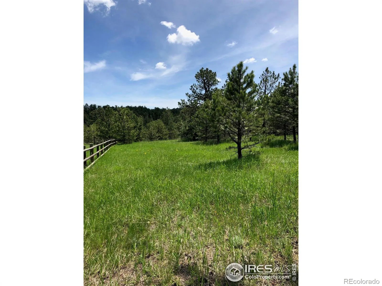 442 Quarter Circle Lane Evergreen CO 80439 | MLS #RECIR1035531 04262026213725 1600 2