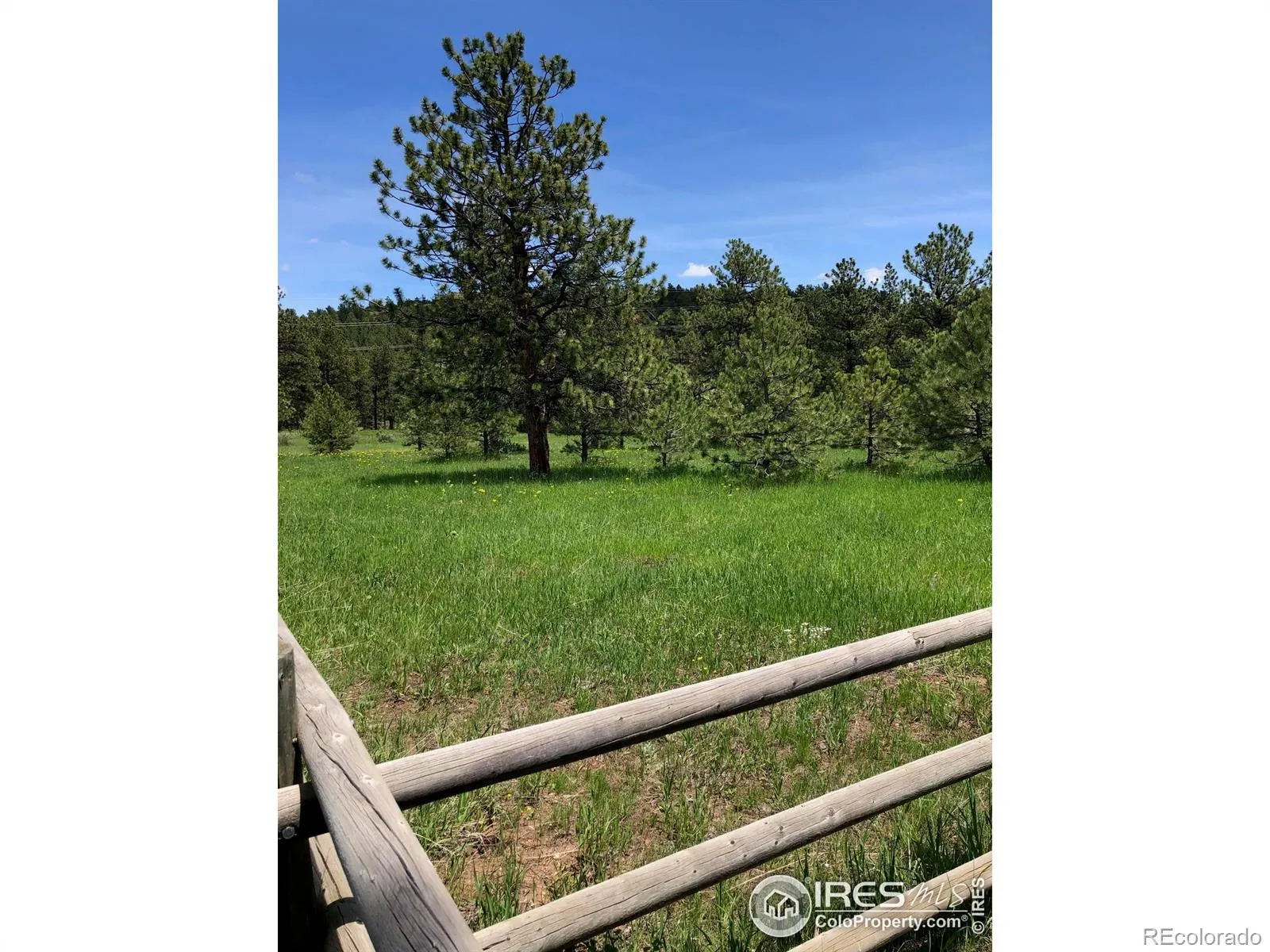 442 Quarter Circle Lane Evergreen CO 80439 | MLS #RECIR1035531 04262026213725 1600 3