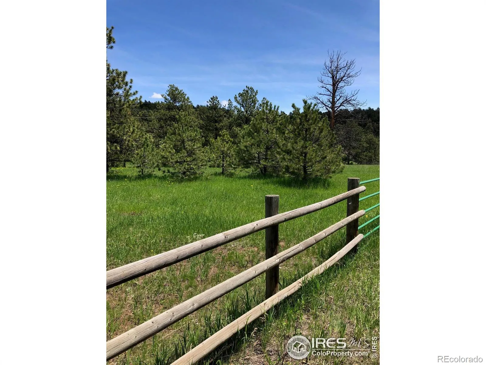 442 Quarter Circle Lane Evergreen CO 80439 | MLS #RECIR1035531 04262026213725 1600 4