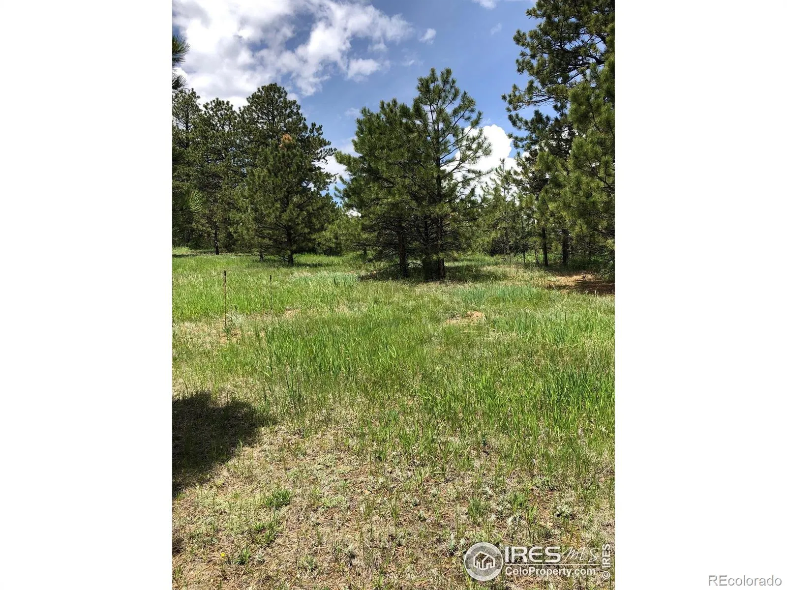 442 Quarter Circle Lane Evergreen CO 80439 | MLS #RECIR1035531 04262026213725 1600 5