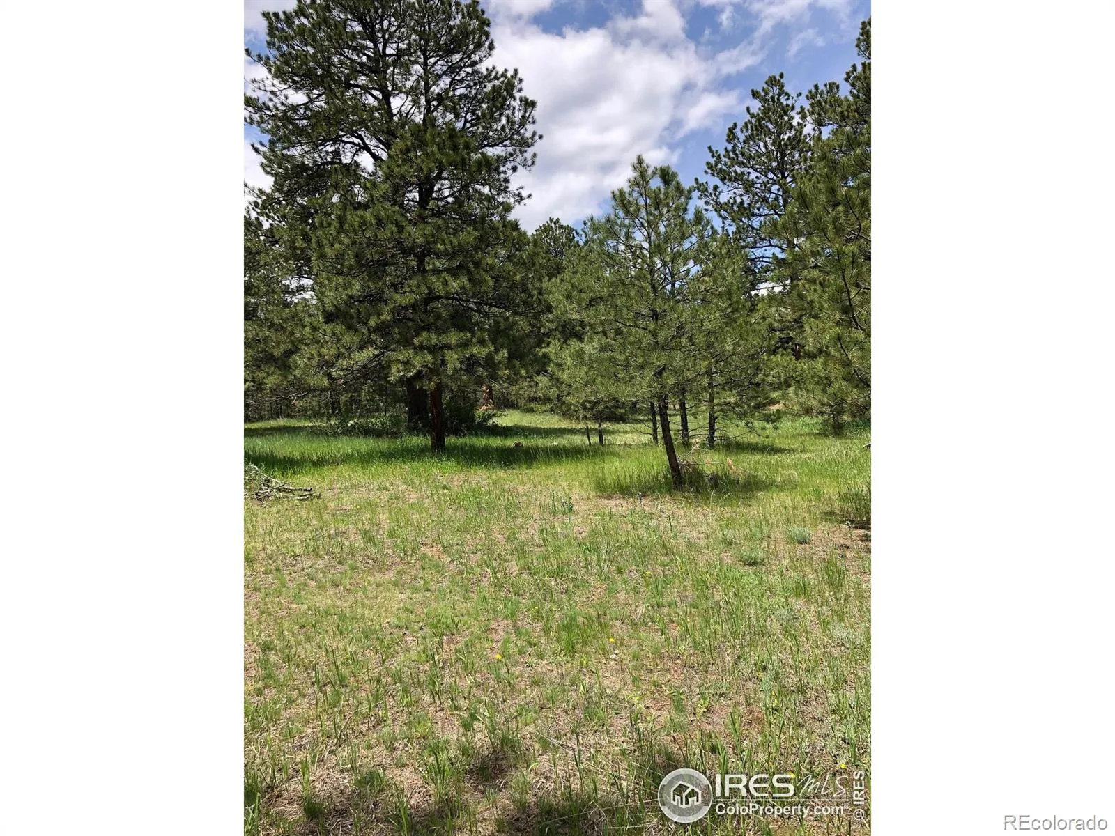 442 Quarter Circle Lane Evergreen CO 80439 | MLS #RECIR1035531 04262026213725 1600 7