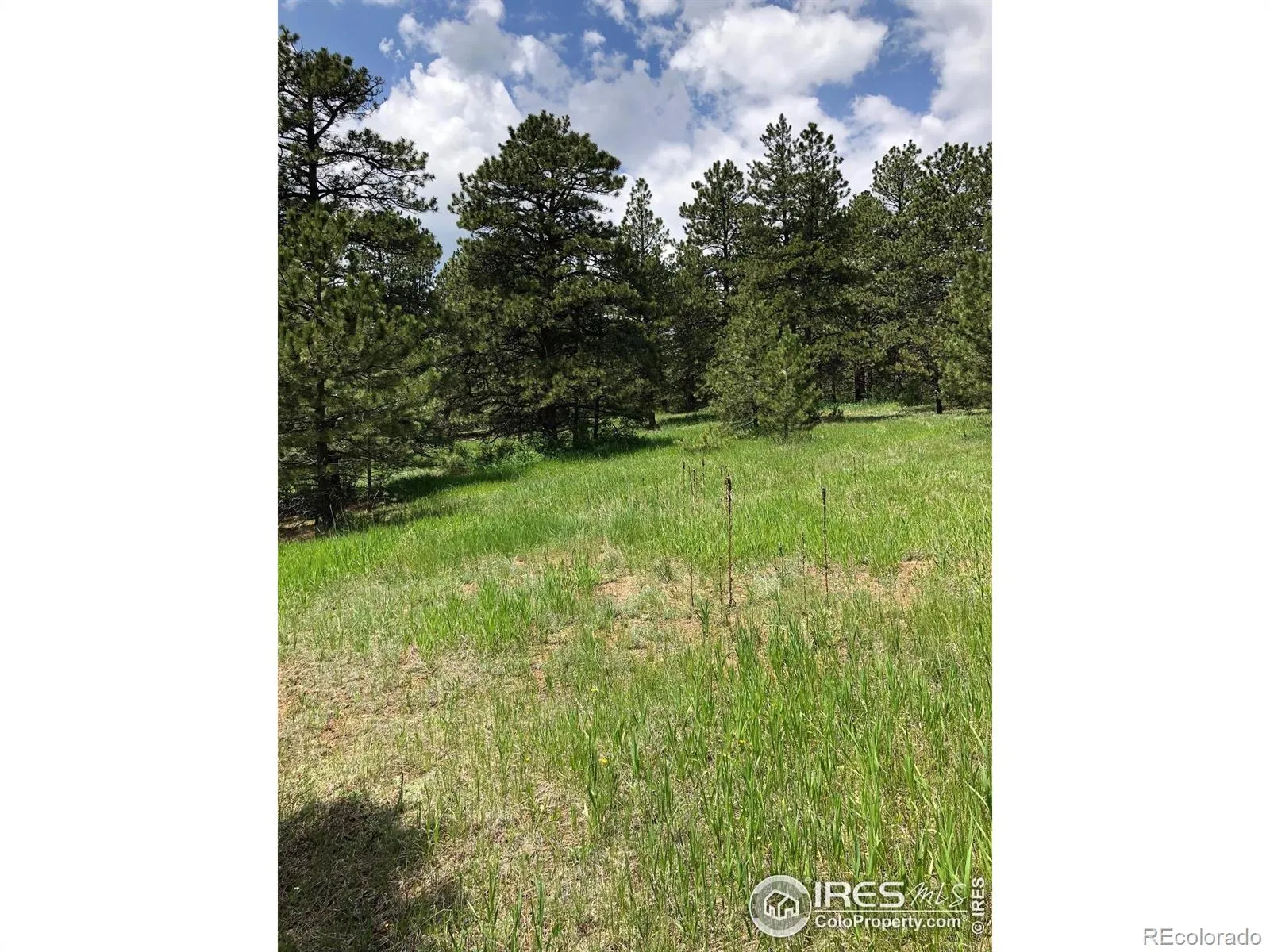 442 Quarter Circle Lane Evergreen CO 80439 | MLS #RECIR1035531 04262026213725 1600 8