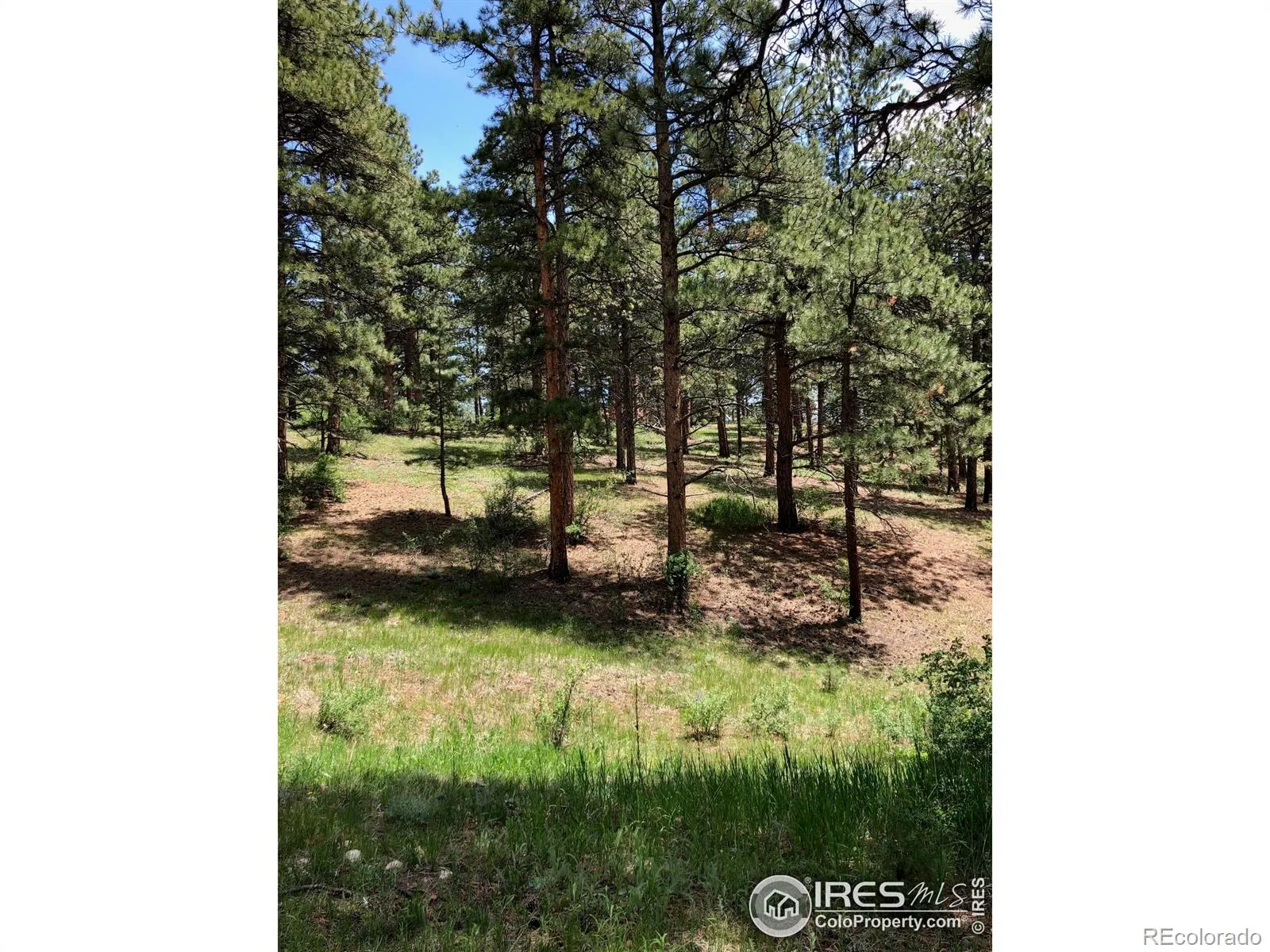 442 Quarter Circle Lane Evergreen CO 80439 | MLS #RECIR1035531 04262026213725 1600 9