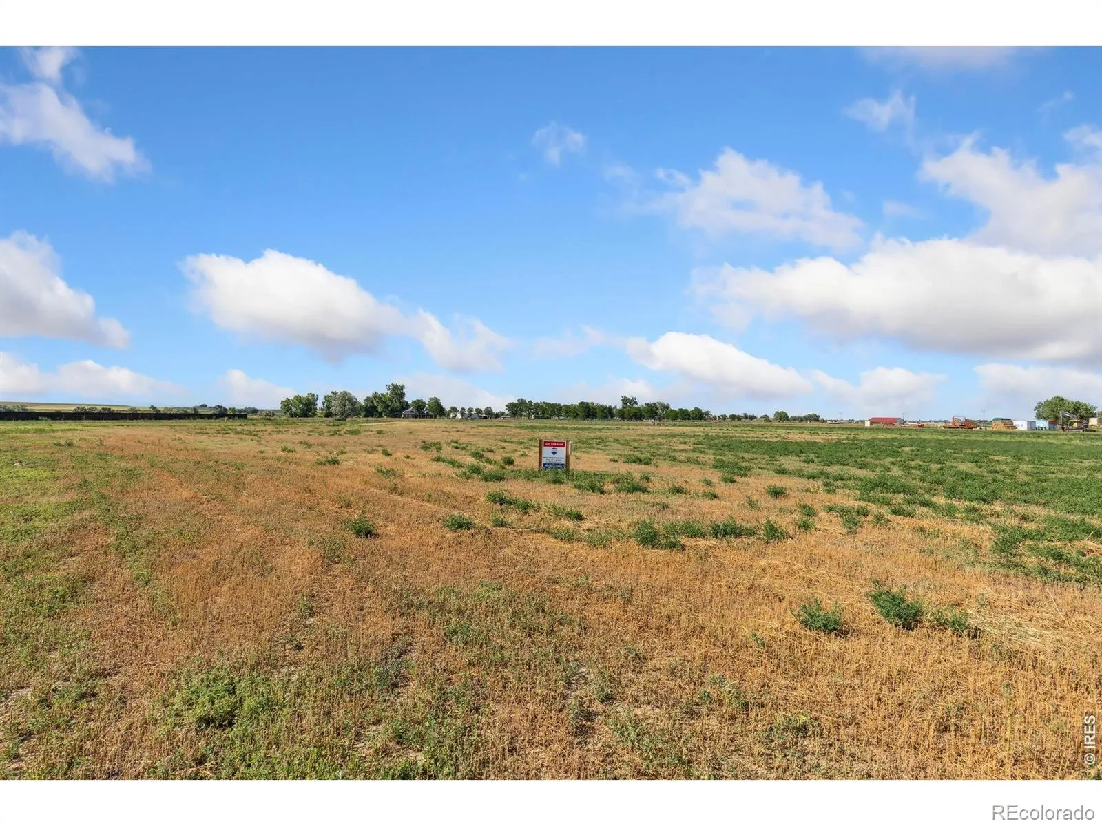 1654 Hauck Meadows Drive Frederick CO 80504 | MLS #RECIR1040110 06032026004234 1600 5