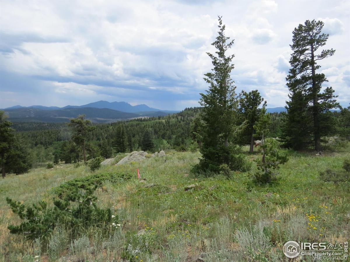 MLS #RECIR1040129 image #0