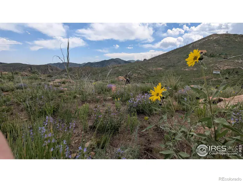 broker reciprocity