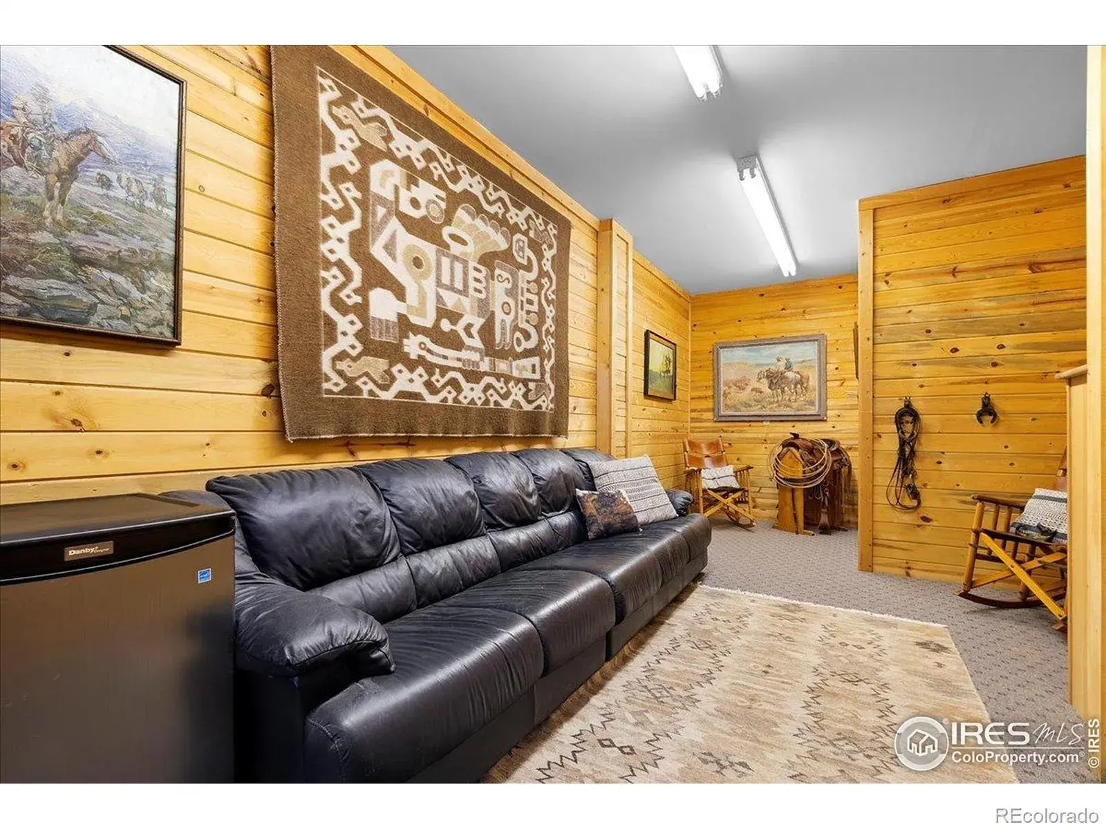 20682 Falcon Wing Road Indian Hills CO 80454 | MLS #REC4530831 11072025235241 1600 10