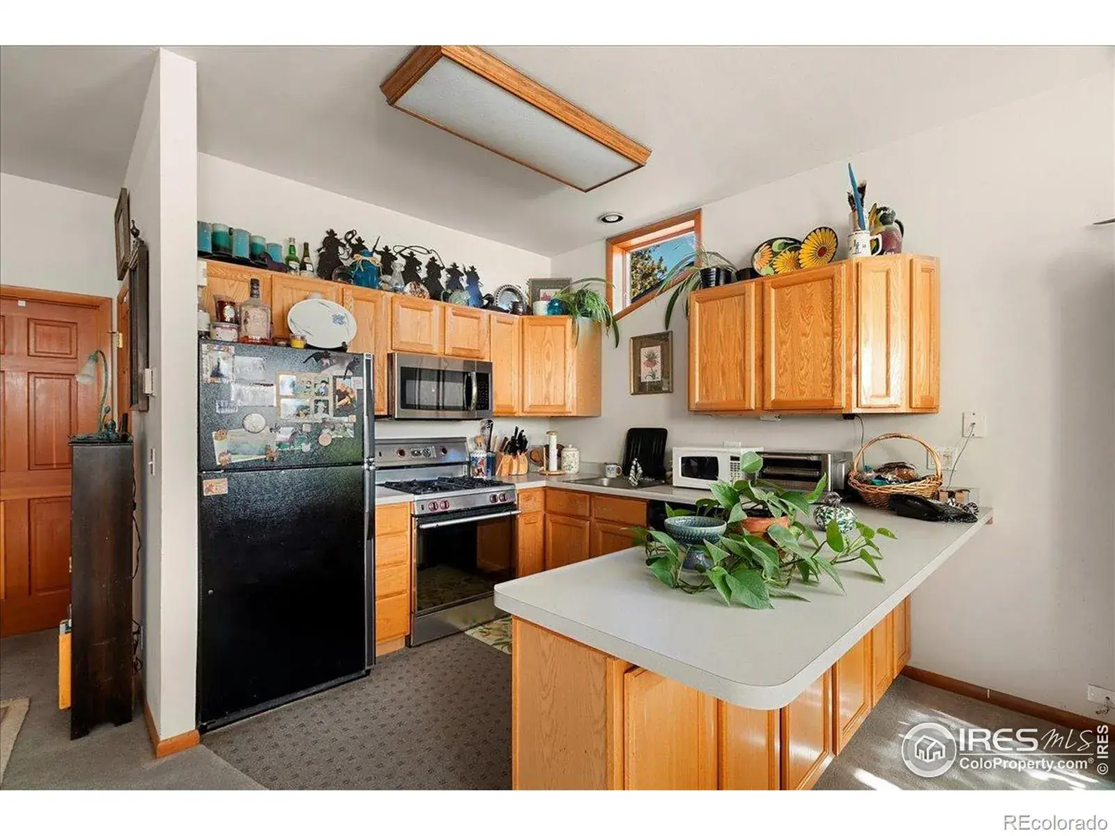 20682 Falcon Wing Road Indian Hills CO 80454 | MLS #REC4530831 11072025235241 1600 12