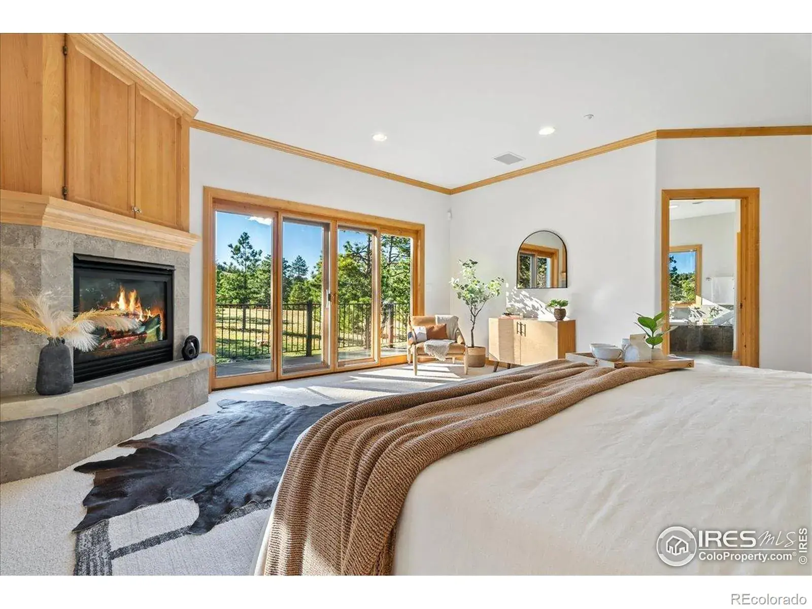 20682 Falcon Wing Road Indian Hills CO 80454 | MLS #REC4530831 11072025235241 1600 25