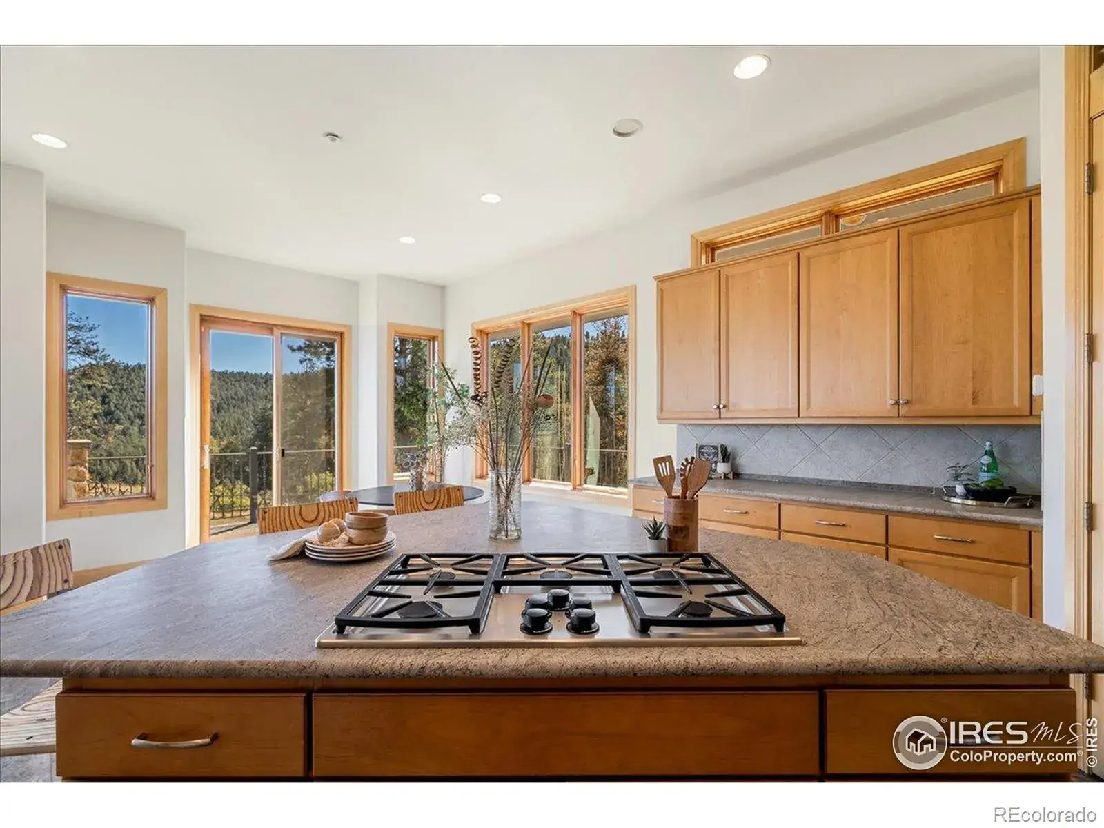 20682 Falcon Wing Road Indian Hills CO 80454 | MLS #REC4530831 11072025235241 1600 28