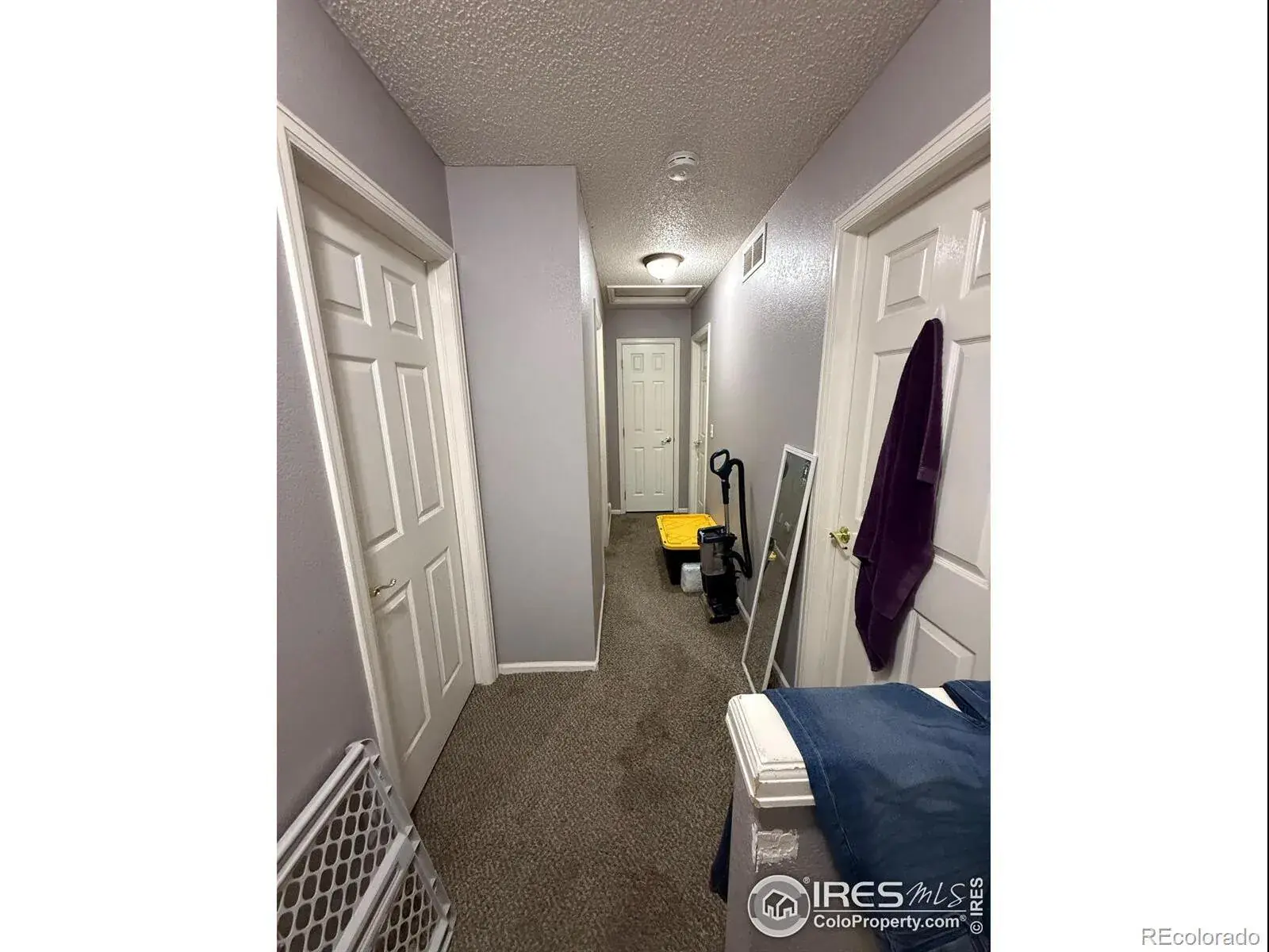 5141 Jasper Street Denver CO 80239 | MLS #RECIR1048144 12052025193547 1600 14