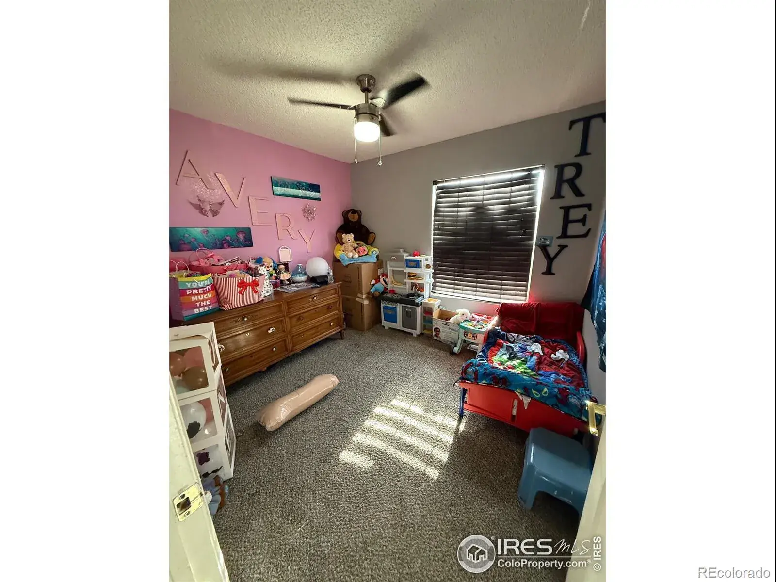 5141 Jasper Street Denver CO 80239 | MLS #RECIR1048144 12052025193547 1600 20