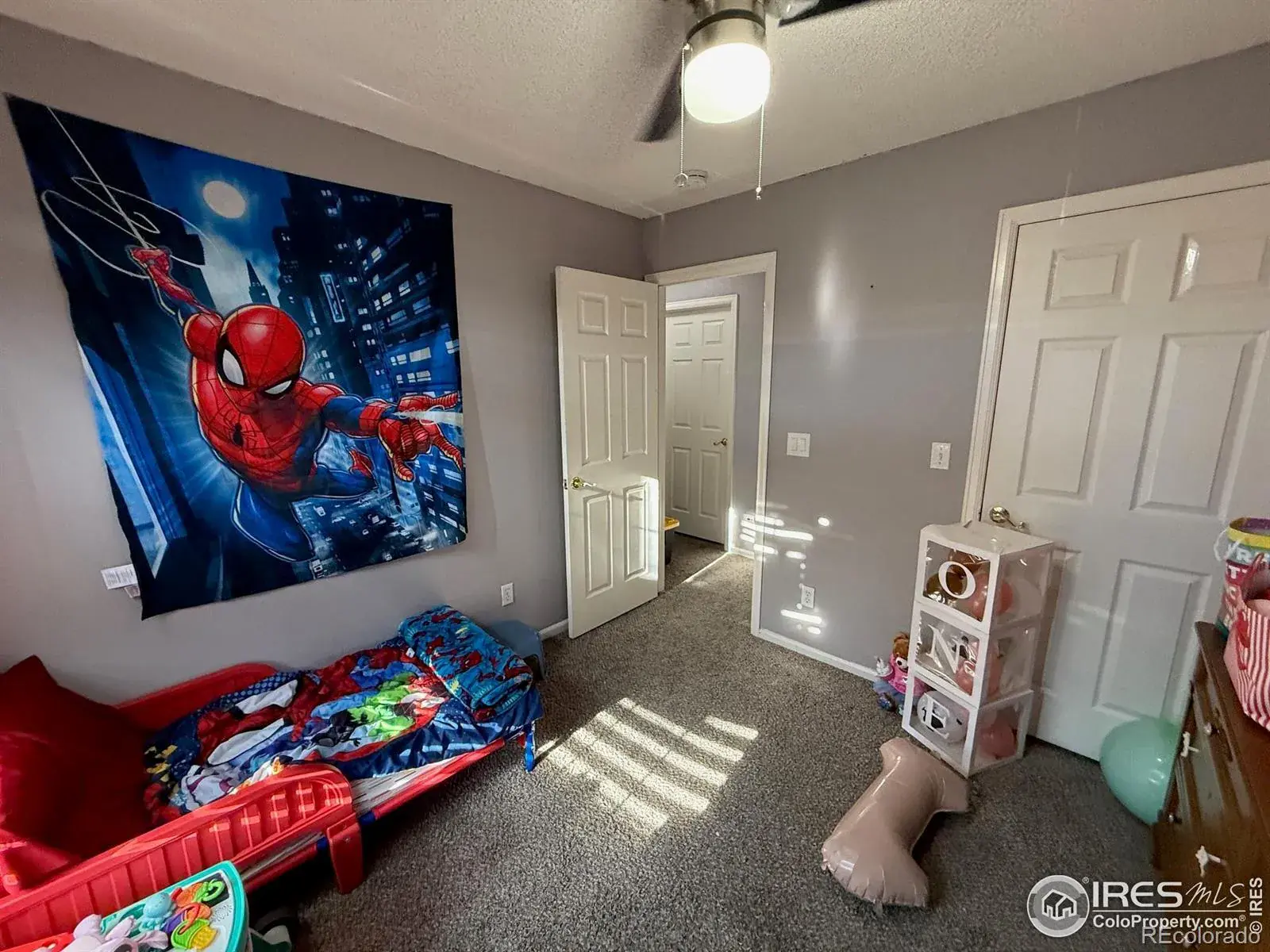 5141 Jasper Street Denver CO 80239 | MLS #RECIR1048144 12052025193547 1600 21