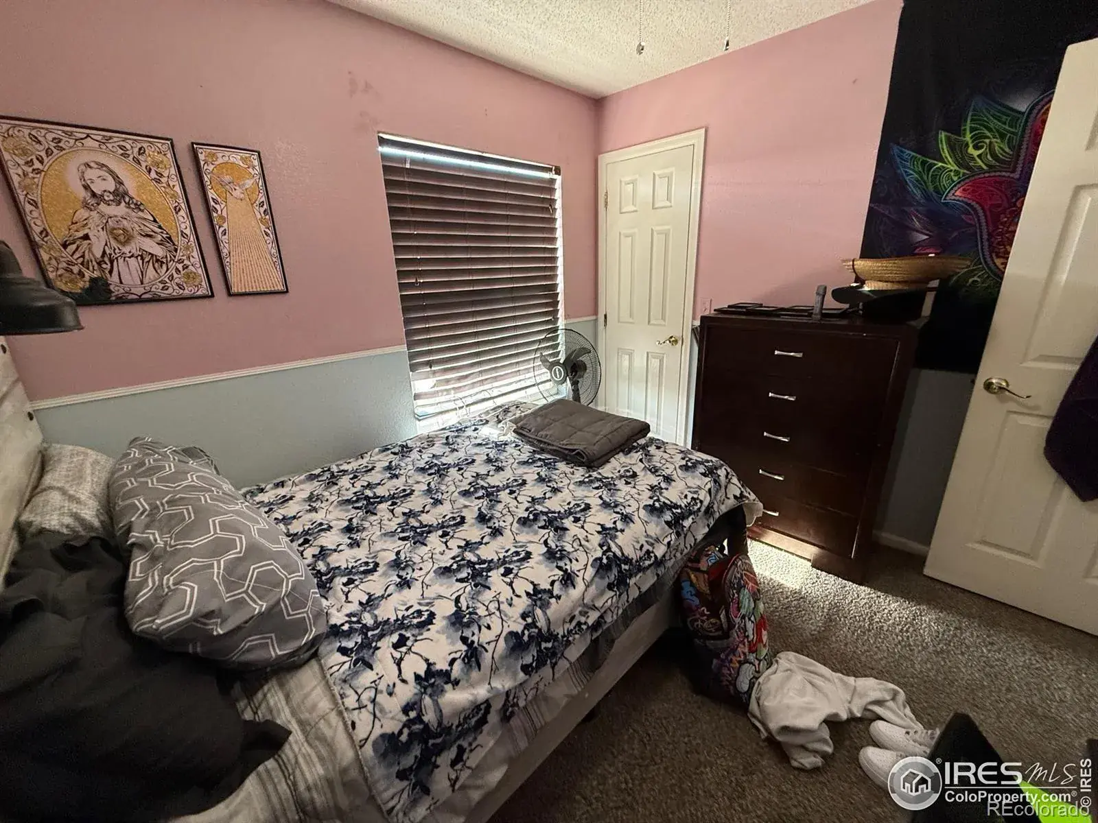 5141 Jasper Street Denver CO 80239 | MLS #RECIR1048144 12052025193547 1600 22