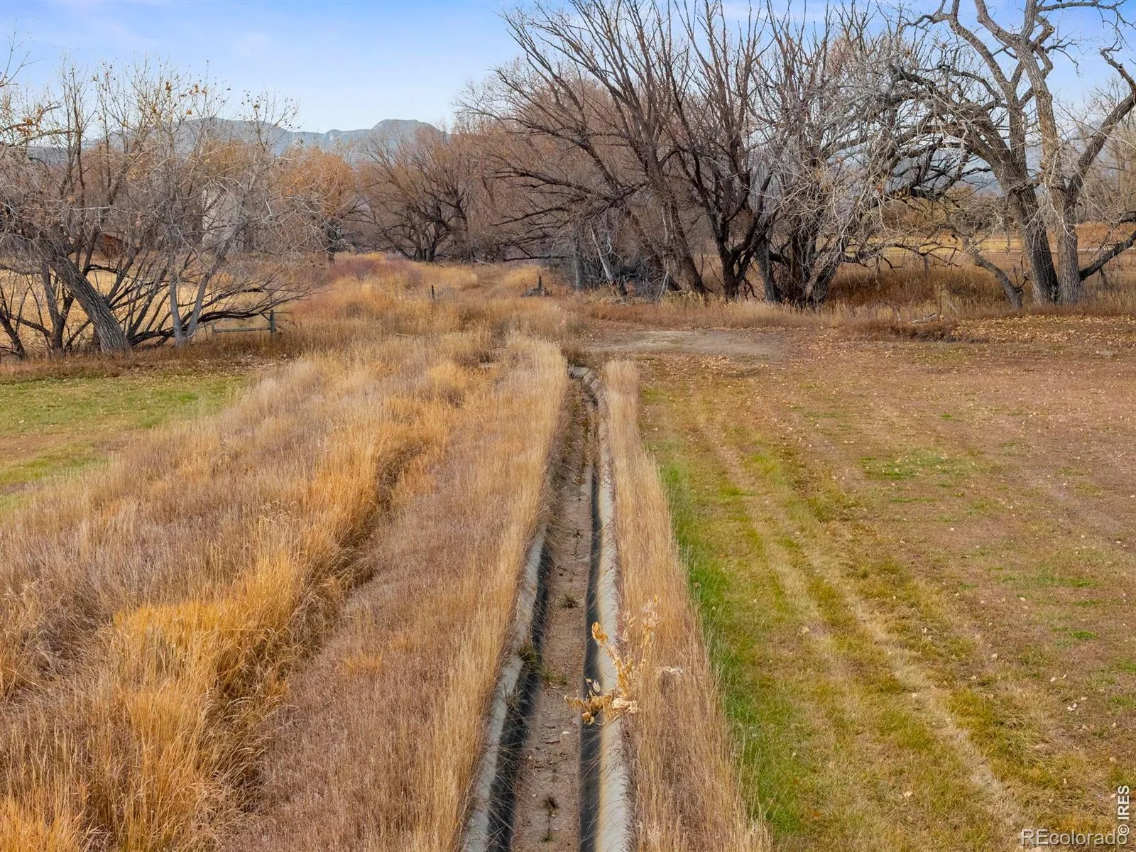 13155 N 75th Street Longmont CO 80503 | MLS #RECIR1048314 04132026142132 1600 37
